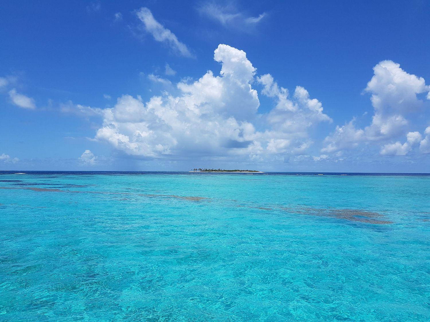 Tobago Cays mit türkis-blauem Wasser, einer kleinen Palmen bewachsenen Insel unter blauem Himmel